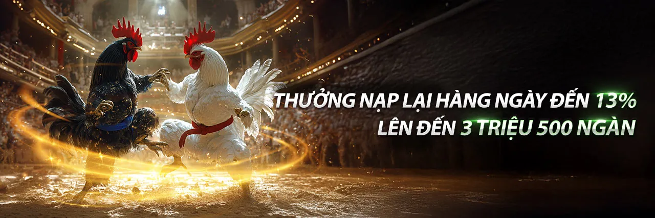 Đá gà trực tuyến ju888 link vào